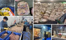 Hãi hùng hơn 60 tấn lòng lợn bốc mùi nằm trong kho lạnh nhiều tháng ở Hà Nội, chờ tuồn ra thị trường