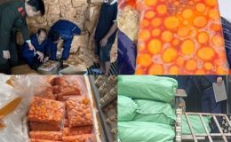 Giữa cao điểm Tết, lực lượng chức năng bất ngờ phát hiện hơn 12 tấn thực phẩm '3 không' ở Hà Nội