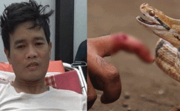 Chồng sát hại vợ, chạy ra vườn thì bị rắn độc cắn: Nguyên nhân ra tay tàn độc và tình hình nghi phạm