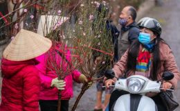 Miền bắc đang trải qua mùa đông ấm áp lạ thường, dự báo thời tiết dịp Tết Nguyên Đán 2026 ra sao?