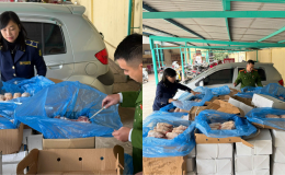 Hà Nội: Kịp thời ngăn chặn gần 2 tấn thực phẩm nhập lậu sắp tuồn ra thị trường