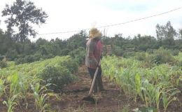 Nghịch lý thắng kiện 4 năm nhưng không có tiền bồi thường: 6 giáo viên ‘kêu cứu’ khắp nơi