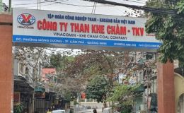 Một công nhân tử vong thương tâm trong lúc làm việc ở Quảng Ninh, hé lộ nguyên nhân gây rùng mình