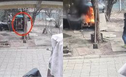 Bé trai nghịch lửa thiêu sống chó Samoyed, người chủ từ chối hòa giải riêng mà đưa yêu cầu đặc biệt