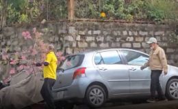 Hé lộ nguyên nhân người đàn ông cả gan chặt cành đào trước khuôn viên Nhà ở công vụ ở Đà Lạt