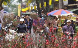 Dự báo thời tiết từ nay đến mùng 6 Tết 2026: Miền Bắc rét đậm rét hại, miền Nam trái ngược hoàn toàn