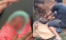 Thông tin mới vụ bé sơ sinh bị bỏ rơi, kiến bu khắp người: Đã tìm ra người mẹ, sức khỏe hiện ra sao?