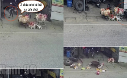 Tài xế say xỉn tông văng 2 trẻ đang chơi trước nhà, 1 cháu tử vong, camera ghi lại khoảnh khắc đau lòng