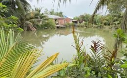 Thông tin chính thức vụ phát hiện thi thể bé sơ sinh trong ao nhà dân ở Hải Phòng ngày mùng 3 Tết