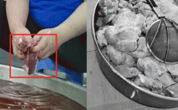 Vụ ‘hô biến’ thịt quá hạn: Sở GD&ĐT TP.HCM công bố 7 trường học từng sử dụng suất ăn từ Sago Food