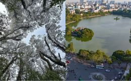 Hai lần trung tâm Hà Nội có tuyết rơi: Hồ Gươm bị đóng băng, cá chết cóng