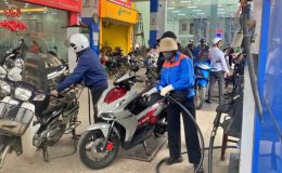 Giá xăng dầu biến động, cơ quan quản lý tính kịch bản điều hành Quỹ Bình ổn và phương án thuế