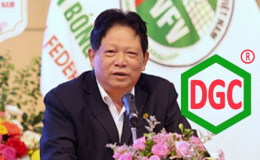 Hóa chất Đức Giang ‘lao dốc’ sau tin khởi tố: Nhà đầu tư ồ ạt tháo chạy, hàng chục triệu cổ phiếu nằm sàn