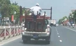 Ô tô biển xanh chở người 'làm xiếc' trên thùng xe: Cơ quan chức năng vào cuộc, mức phạt không hề nhẹ