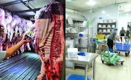 Bộ Y tế bất ngờ kiểm tra bếp ăn tập thể ở Hà Nội, Ninh Bình: Phát hiện nhiều điểm đáng báo động