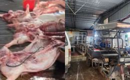 Vụ 300 tấn thịt lợn bệnh tràn vào trường học: Công ty Suất ăn Công nghiệp Hà Nội lên tiếng kêu oan