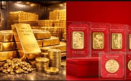 Giá một loại vàng tăng từ 36 triệu vào năm 2011 lên 191 triệu vào đầu 2026: Có nên đầu tư tiếp?