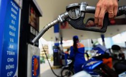 Giá xăng dầu tối 11/4: RON 95, Diesel giảm ‘thủng đáy’, đây là mẫu xe 'không tốn xăng' ăn khách nhất