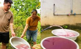 Vụ nước giếng khoan đổi màu tím ngắt ở Thanh Hóa: Lời thú nhận bất ngờ từ doanh nghiệp giặt là