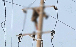 Nghệ An: Người dân sững sờ khi thấy thi thể nam sinh lớp 8 mắc kẹt trên cột điện, nguồn cơn vụ việc?