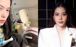 Nam Em nhốt mèo trong balo suốt 8 tiếng để bắt ‘sám hối’, mèo tử vong còn livestream đổ lỗi