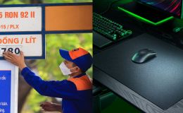 Giá xăng dầu Petrolimex sáng 26/4 giảm hàng loạt, giá mẫu lót chuột bằng kính mỏng nhất thế giới ra sao?