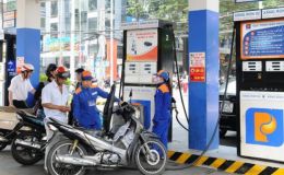 Giá xăng dầu hôm nay (trưa 29/4): Xăng RON95, RON92, dầu Diesel siêu rẻ, chốt mục tiêu nâng mức dự trữ lên 90 ngày