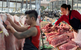 Giá heo hơi hôm nay 1/5: Chợ đầu mối quay đầu giảm, thị trường trầm lặng trong nghỉ lễ