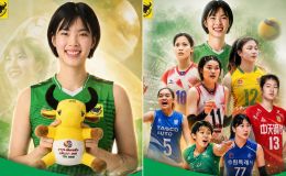 Xem trực tiếp bóng chuyền Cúp VTV9 - Bình Điền 2026 ở đâu, kênh nào? Link trực tiếp bóng chuyền