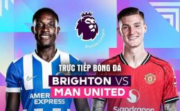 Xem trực tiếp bóng đá Brighton vs Man Utd ở đâu, kênh nào? Link xem trực tiếp Ngoại hạng Anh vòng 38