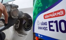 Lý do ô tô, xe máy ít sử dụng dễ gặp vấn đề khi dùng xăng E10