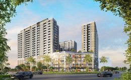 Một mặt bằng, hai nhịp lợi nhuận: Ngày giao thương, đêm tích lũy tại Mini Orchard
