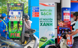Giá xăng dầu hôm nay 1/6: Giá E10 ở Petrolimex, PVOIL có thật sự rẻ? Chênh lệch với RON95 bao nhiêu?
