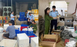 Khởi tố giám đốc công ty ở Thanh Hóa: Hé lộ thủ đoạn làm giả hàng tấn 'nem chua rán Hà Nội' 