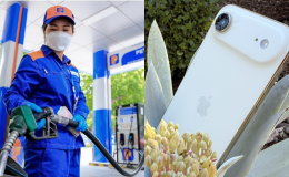 Giá xăng dầu hôm nay 10/6 trong nước chạm mốc 21.784, giá iPhone Air cũ ra sao?