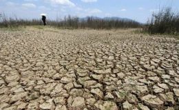 El Nino chính thức quay lại, xác suất 63% thành siêu El Nino, đối mặt  nhiều biến động khí hậu