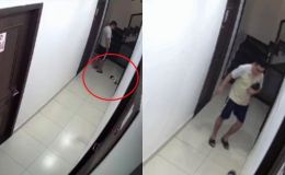 Hải Phòng: Động thái của nam thanh niên đá chết chú chó rồi bỏ vào thùng rác chung cư, gia đình bức xúc 