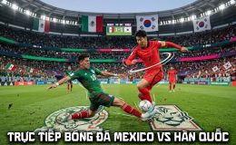 Link xem trực tiếp bóng đá Mexico vs Hàn Quốc - VTV trực tiếp World Cup 2026 hôm nay 19/6