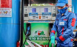 Giá xăng dầu hôm nay 22/6: Xăng E5 giảm gần 10.000 nghìn từ đỉnh, bảng giá Petrolimex, PVOIL