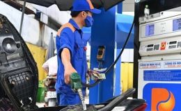 Giá xăng dầu hôm nay 28/6: E10 giảm gần 12000 đồng/lít, RON 92 chính thức ‘thủng đáy’, bảng giá đầy bình xe ga 110cc