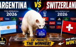 Dự đoán kết quả Argentina vs Thụy Sĩ - Tứ kết World Cup 2026: Mèo tiên tri quay lưng với Lionel Messi