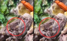 Vụ cỗ tân gia nghi có dòi trong món gà ở Đắk Lắk: Chủ cơ sở nấu tiệc lên tiếng 