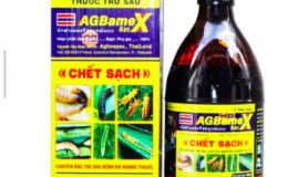 'Gã điên tình' đâm dao vào nữ chủ thẩm mỹ viện ở Hà Nội, bất chấp nạn nhân cầu xin còn con nhỏ