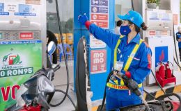 Giá xăng dầu hôm nay 5/8: RON 92 rẻ hơn đỉnh 7.700 đồng, E10 sắp xuống đáy mới ‘rẻ như cho’, giá đầy bình xe ga 110cc