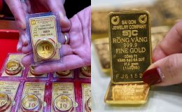 Giá vàng hôm nay 9/8 mới nhất: Bất ngờ đứng yên ở vùng đỉnh, vàng thế giới báo hiệu điều bất ngờ