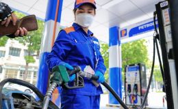 Giá xăng dầu hôm nay 22/8: E10 RON95 'bay màu' 8.000 đồng từ đỉnh, E5 RON92 rẻ là bao nhiêu? Giá đầy bình xe máy Piaggio
