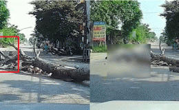 Vụ người đàn ông tử vong vì cây đè trúng: Công an thông tin diễn biến mới gây chú ý về người cưa cây