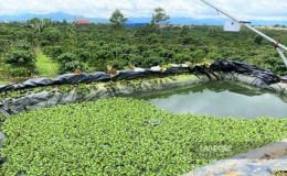 Sau hơn 1 ngày mất liên lạc, người đàn ông ở Lâm Đồng đã được người thân phát hiện thi thể ở nơi không ngờ đến