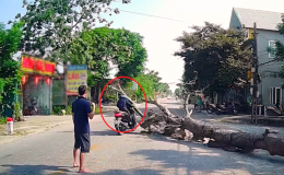 Thông tin mới vụ cưa cây đổ khiến người đi đường tử vong: Gia đình nạn nhân nói điều bất ngờ