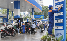 Cập nhật giá xăng dầu hôm nay 17/9 sau điều chỉnh: Dầu diesel lên gần 30.000/lít, E5 và E10 tăng cao